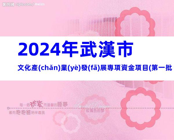 2024年武漢市文化產(chǎn)業(yè)發(fā)展專項資金項目(第一批)申報條件、時間